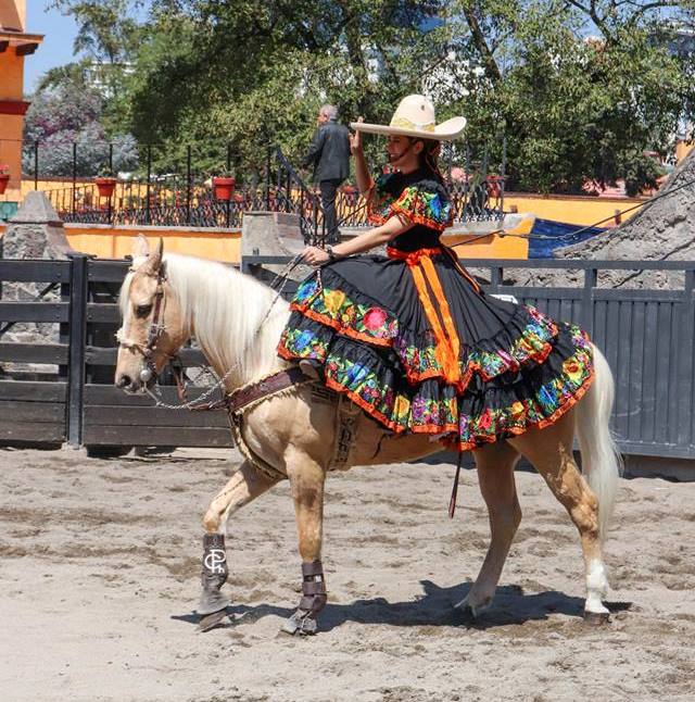Programa de escaramuzas en el Pedregal