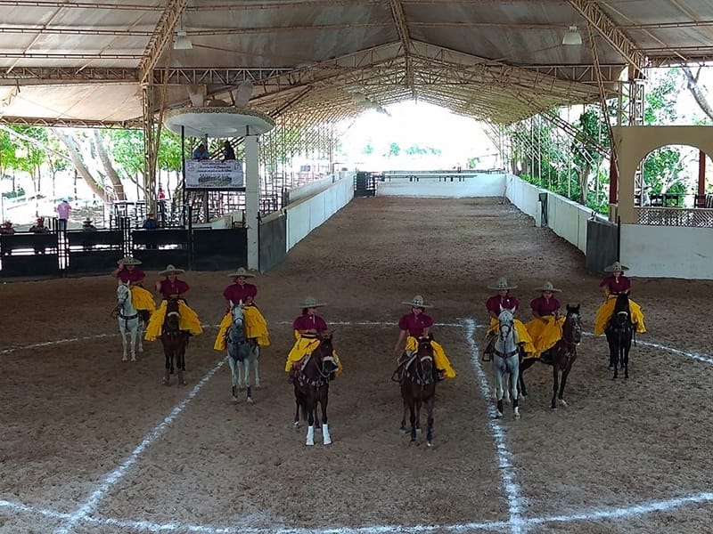 Tabla de resultados del Estatal de Yucatan 2019