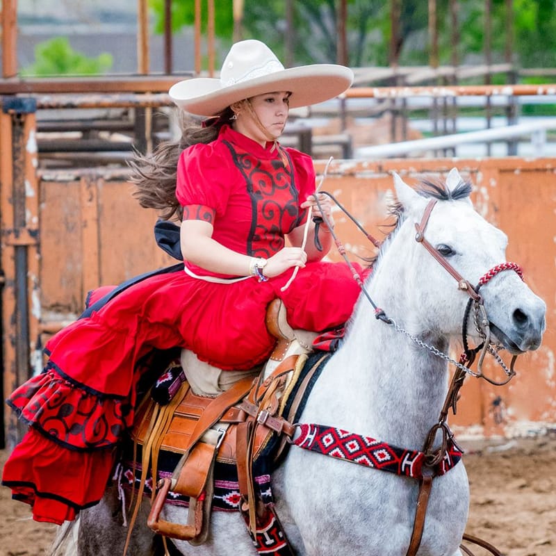 Resultados Estatal Texas 2019