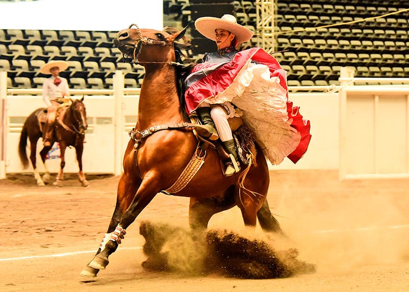 PUENTE DE CAMOTLÁN Y EL PORVENIR REBASAN LOS TRESCIENTOS PUNTOS