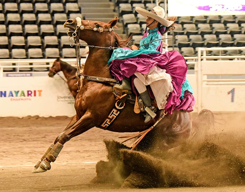 CIENEGAL DE PEÑUELAS EN PIE DE GUERRA