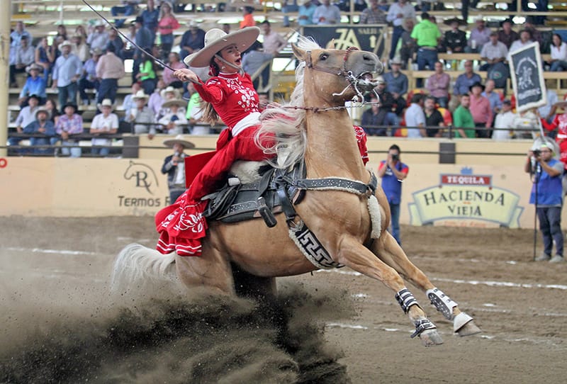 Récord de participación en el IX Caladero Futurity del Campeonato Millonario Tequila Hacienda Vieja 2019