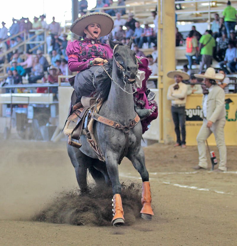 Clasificación del Millonario "Don Félix Bañuelos" 2019
