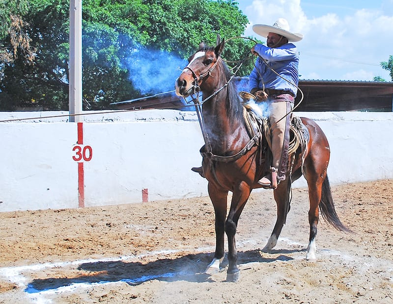 FRANCISCO ESQUER ENCABEZA A LOS CHARROS MAYORES EN CINCO FAENAS