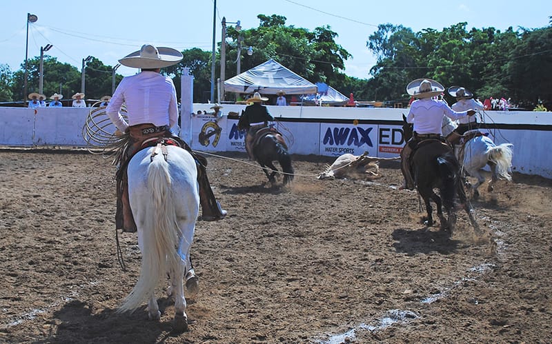 RAFAEL AGUILAR SEGOVIA, CAMPEÓN CHARRO MAYOR EN CINCO FAENAS