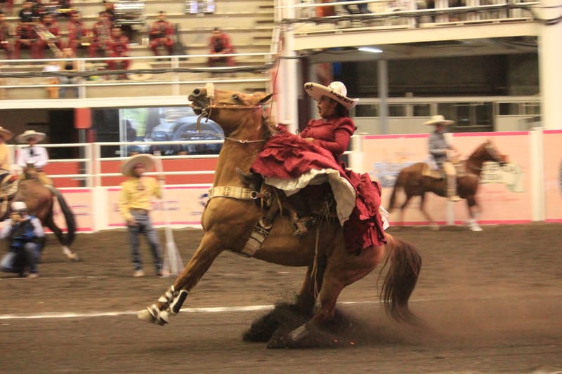 Tabla Nacional Charro Morelia 2019 *no oficial