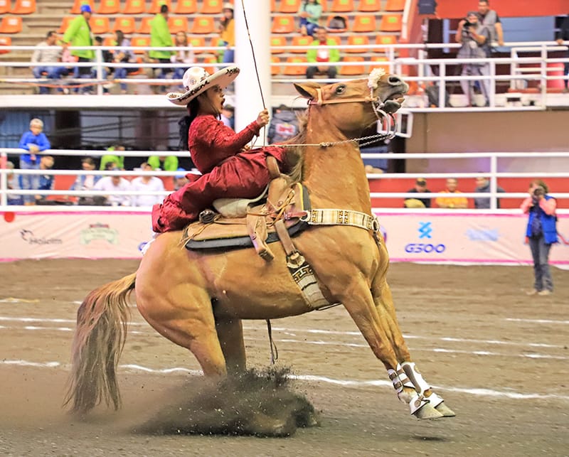 CHARRA DEL PEDREGAL DESTACA EN EL CIERRE DE LA JORNADA DOMINICAL