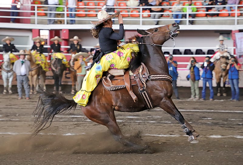 RANCHO LOS LAURELES EN PIE DE GUERRA