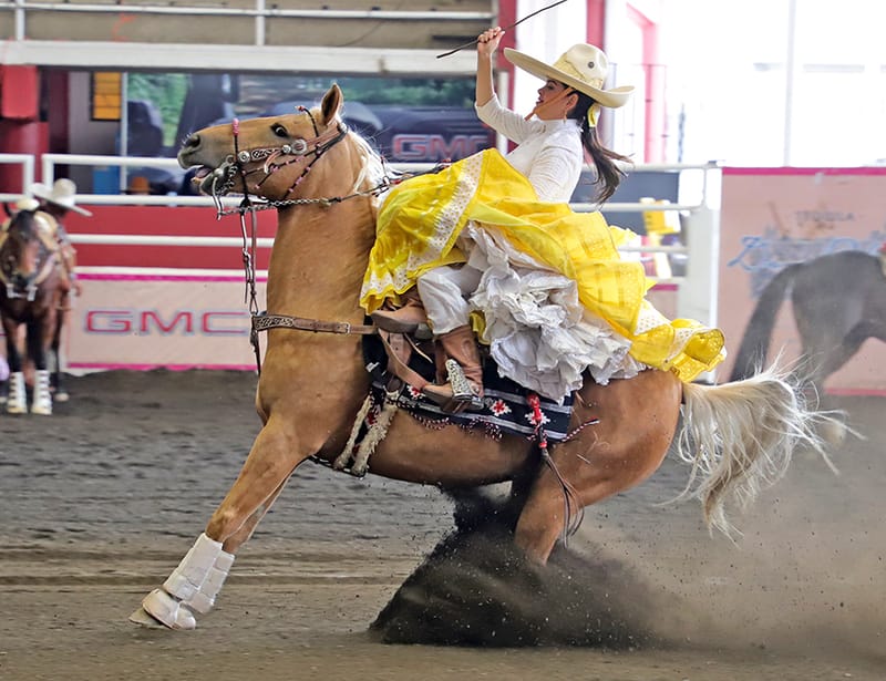 Reencuentro de Chihuahua, superlíder de las escaramuzas con 317.66 puntos