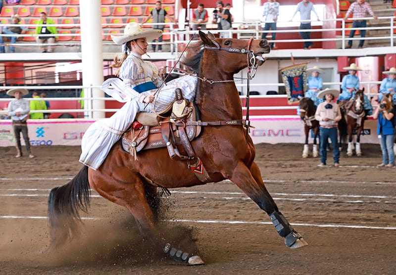 Desfiló la charrería federada en Ciudad de México y homenaje al Ejército Mexicano en Morelia