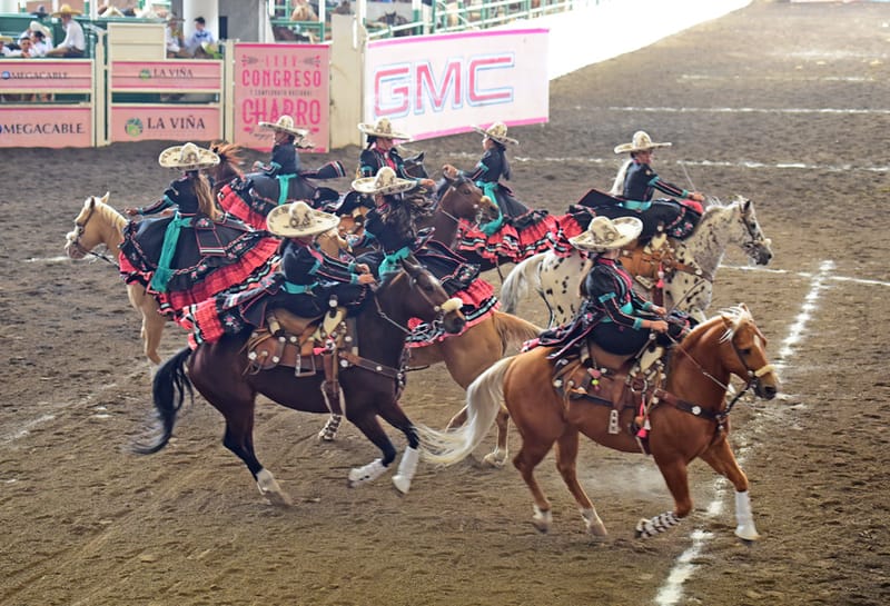 CANTÓ EL GALLITO-XICO CON 342 PUNTOS