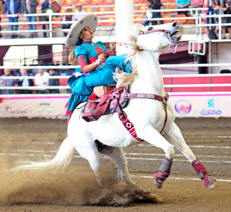 CERRADA VICTORIA DE HACIENDA TRIANA “A”