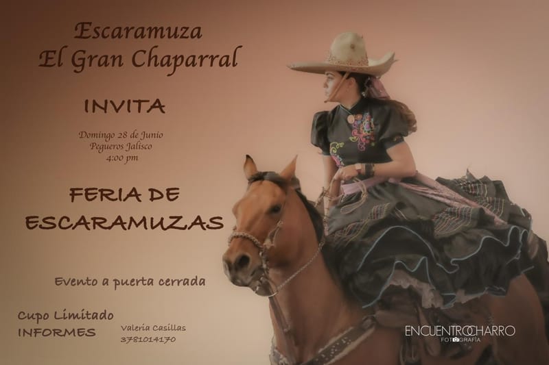 Feria de Escaramuzas a puerta cerrada  este 28 de junio