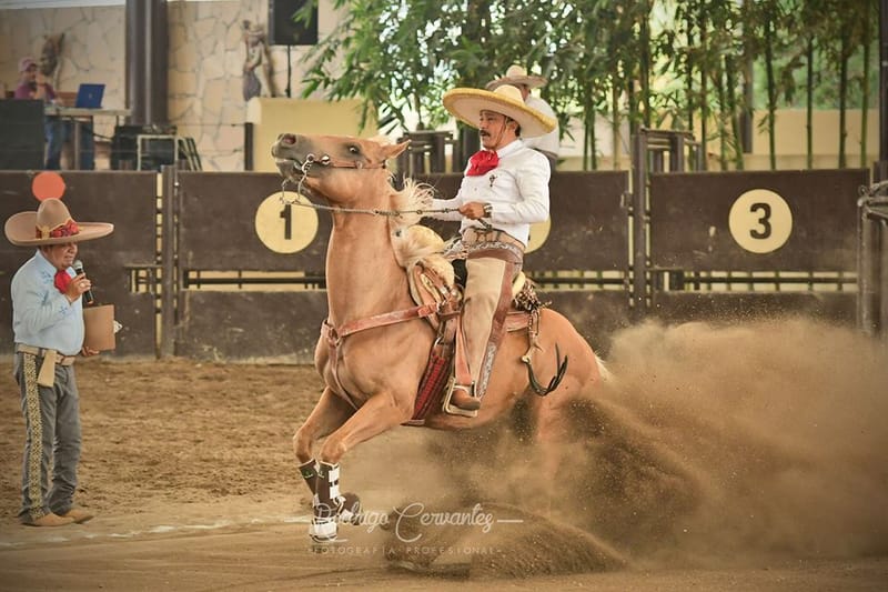 Humo blanco para el Estatal Charro 2020 en Chiapas