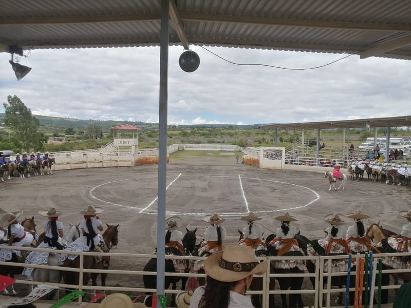 Resultados Pre Estatal Guanajuato 2020