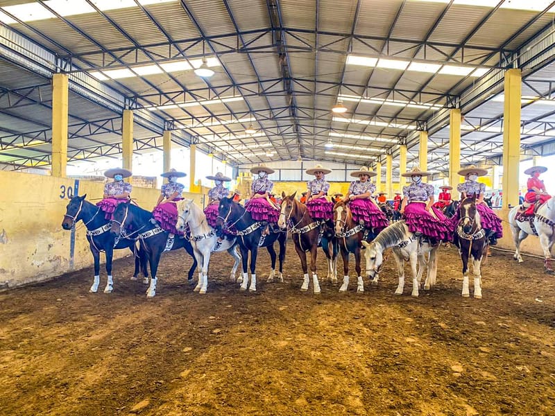 Gestiona el estrés frente a la competencia.