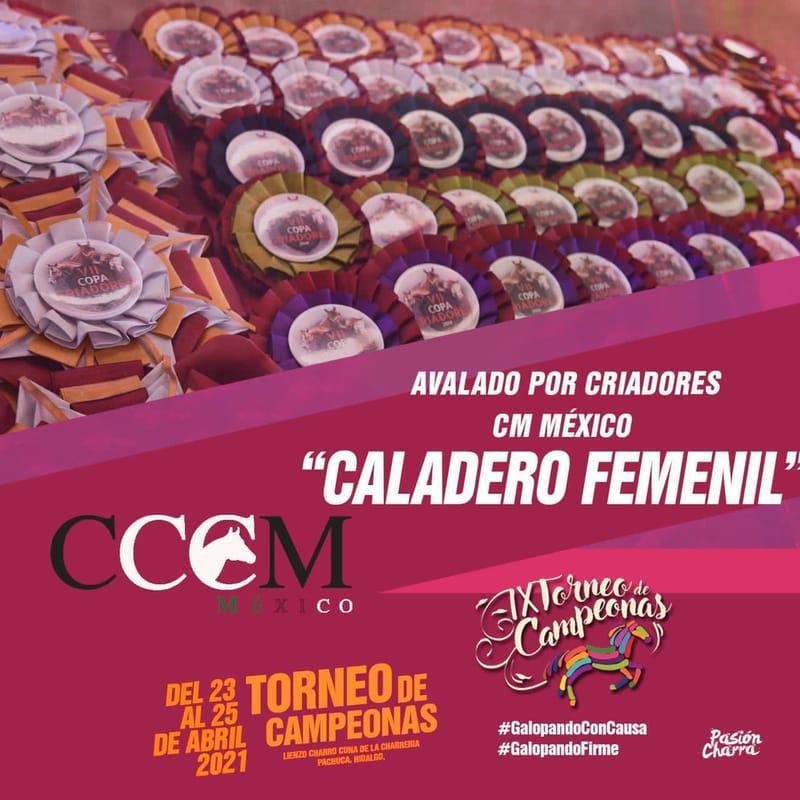 Reglas deportivas del caladero y punteadero, IX Torneo de Campeonas