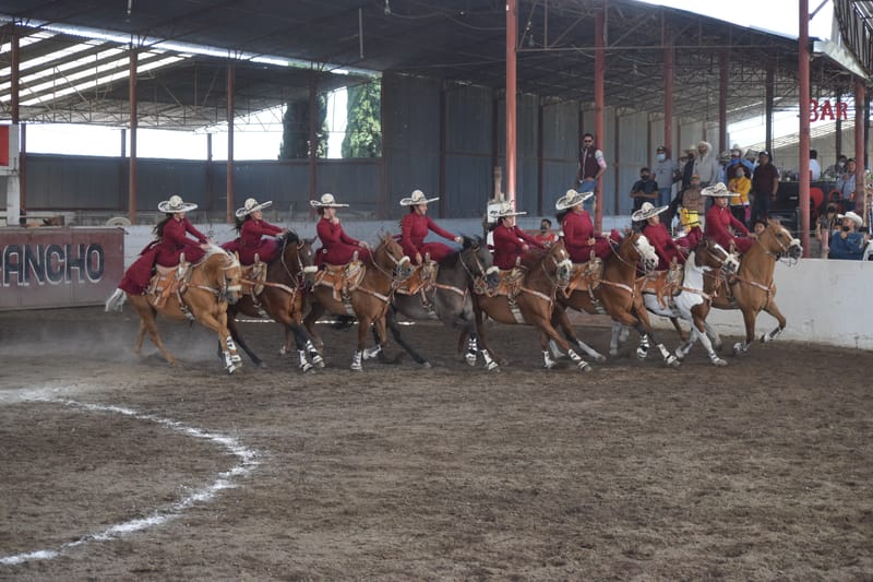 Rancho el Renacer en el Excelencia.