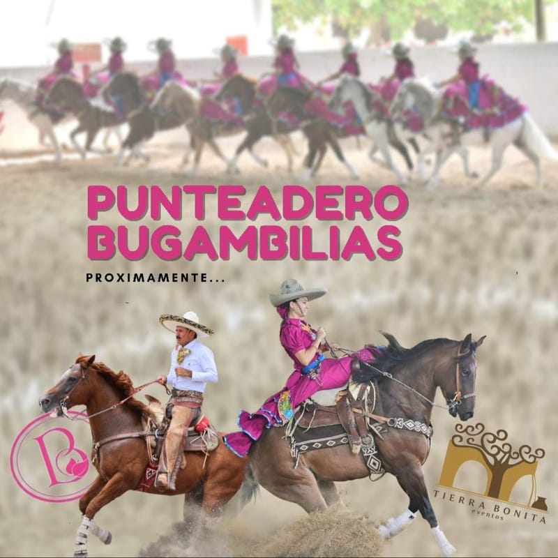Convocatoria Punteadero Bugambilias