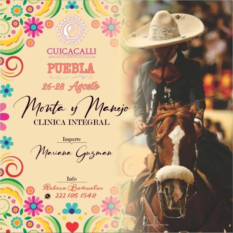 Monta y manejo Clínica integral con Mariana Guzmán