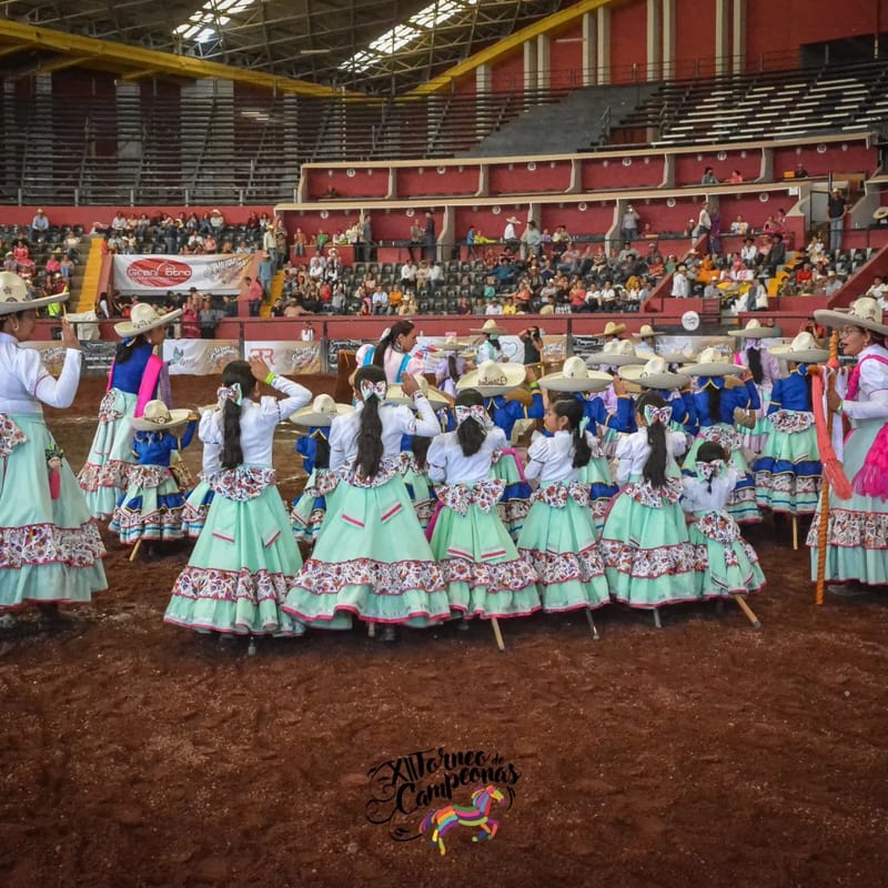 Convocan a la categoría caballito de palo