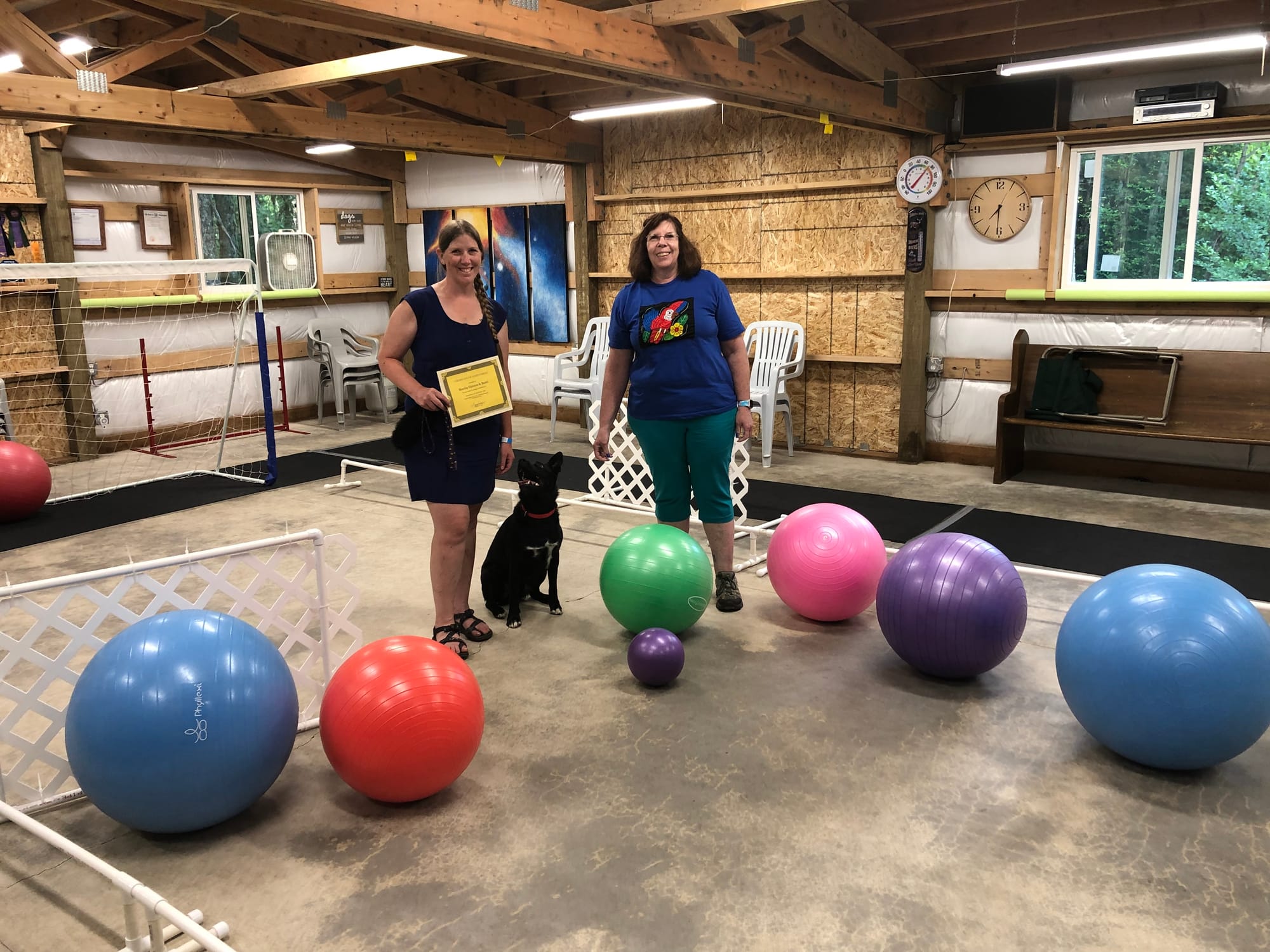 Bumi Treibball Level 3 June 2021