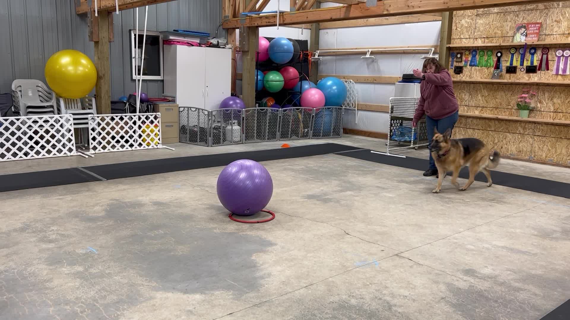 Skill Level 1 send out