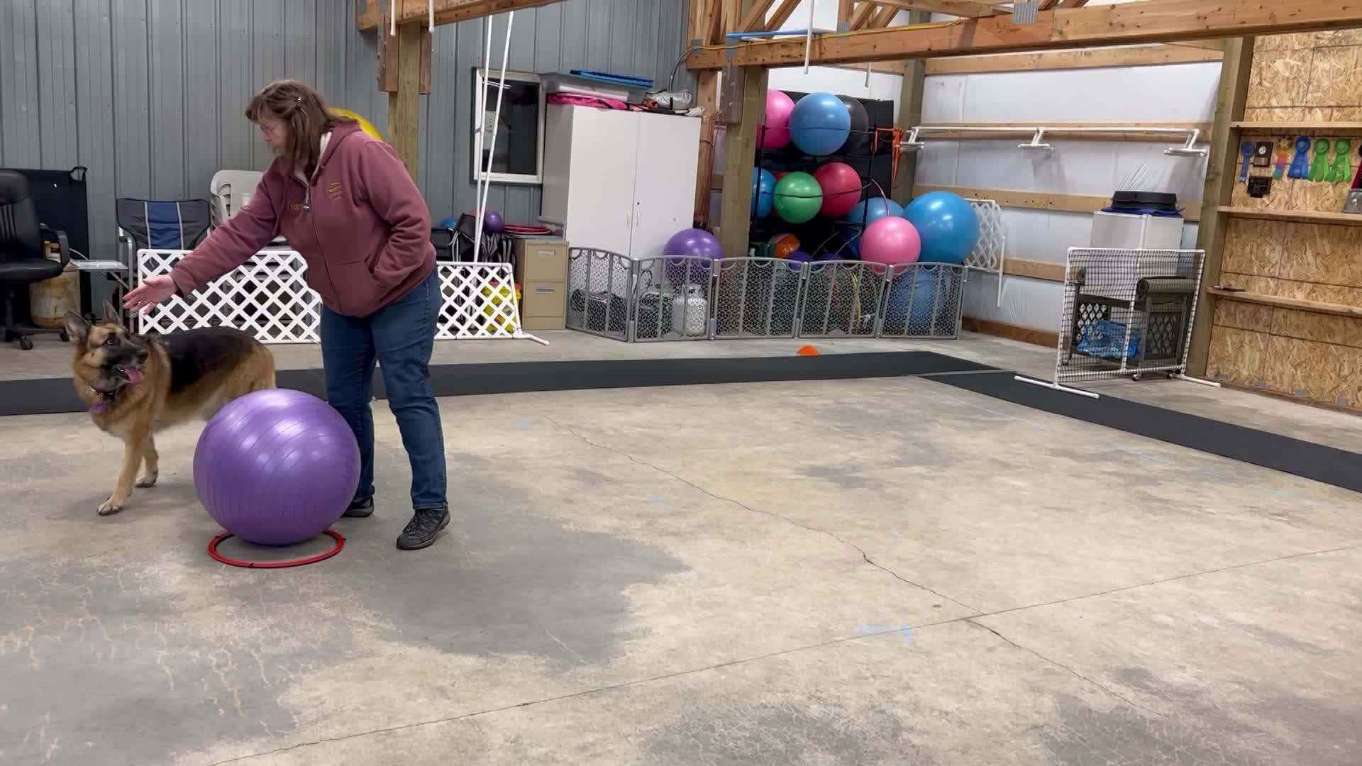 Skill Level 1 with Driving