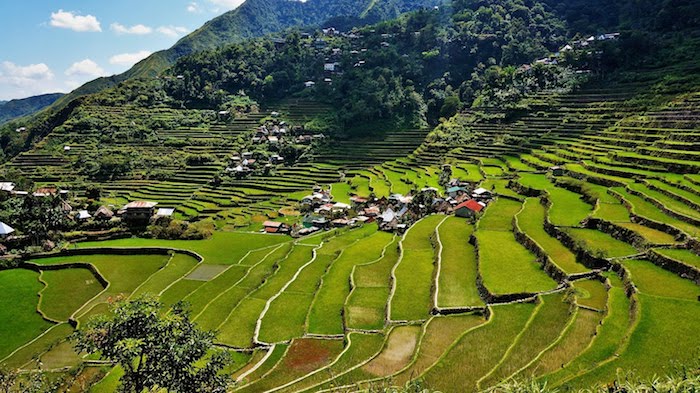 The Batad Rice Terraces