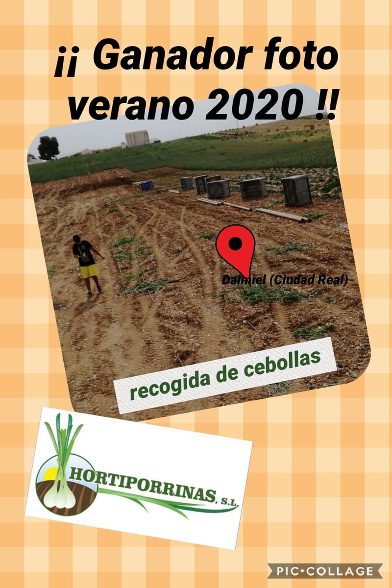 Concurso foto verano 2020