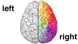 Hemispheric Specialization: Hemispheric Dominance & Interhemispheric Connections