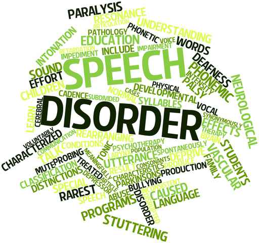 What is a language disorder?