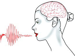 The Motor Speech System: Conceptual level