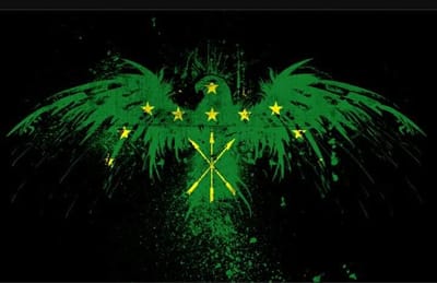 نبذه عن تاريخ عائله استانبولي image