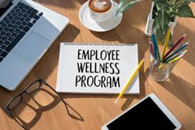 OVERVIEW OF POSSIBLE WORKSHOPS & PROGRAMS