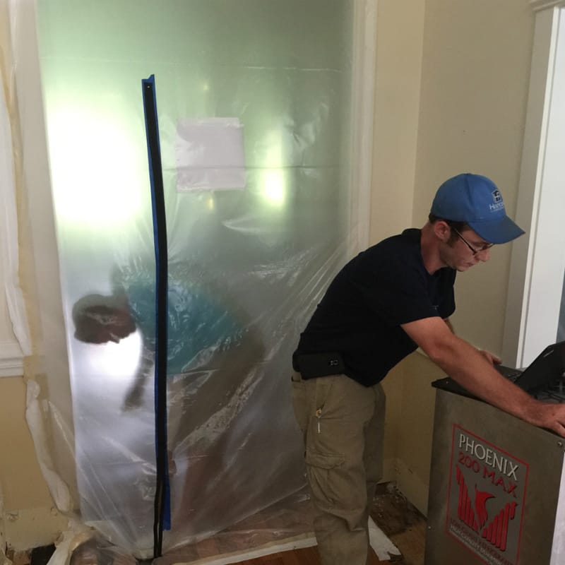 MOLD REMOVAL