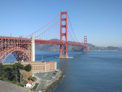 14. La llamada del coyote