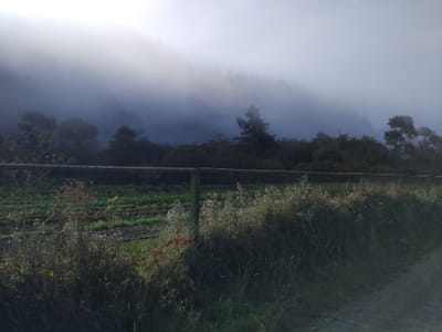 17. Rancho del Oso