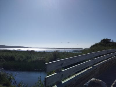 5. Lakeport, la ciudad que no llegó a existir