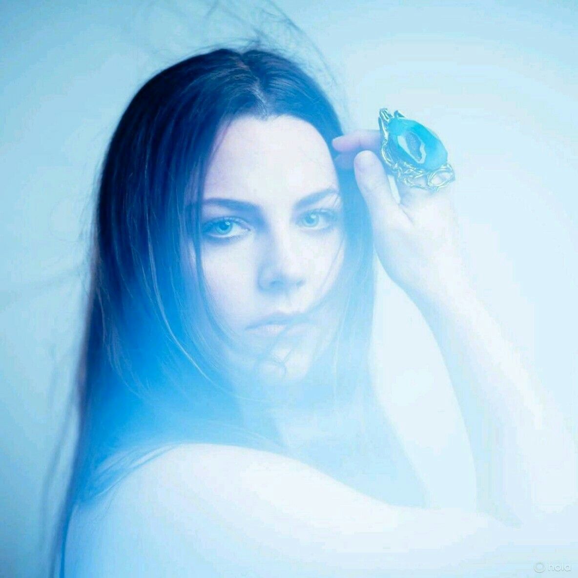 Amy lee