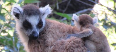 Cet espace vous est réservé, partagez vos aventures !