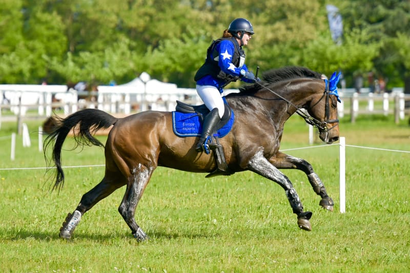 Écurie Complet GM