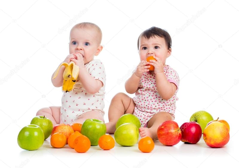 Alimentos Incluidos