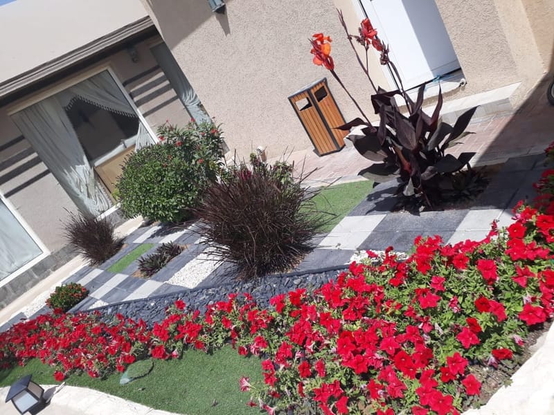 Landscape Design/Build