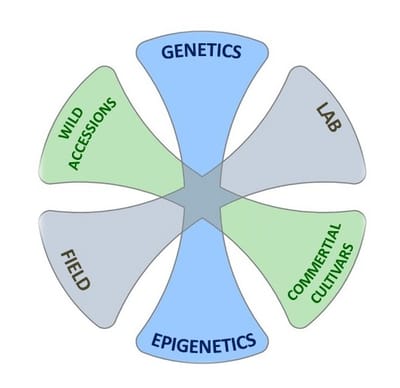 Scientific overview image