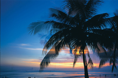 【带老人游三亚全攻略】与花样“奶奶”们的旅行