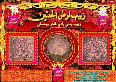 تصدير الزبيب اليمني image