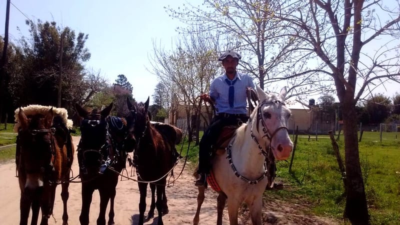 Cabalgata