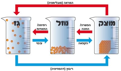 סרטון