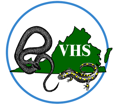 For More Information,